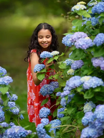 Surrounded by beautiful hydrangeas. Using the natural environment and flowers adds so much color and life to outdoor portraits.