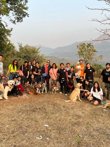 The official group photo from another successful camp! It takes a village, and I'm so grateful for every dog and human who brings their amazing energy to make these weekends unforgettable.