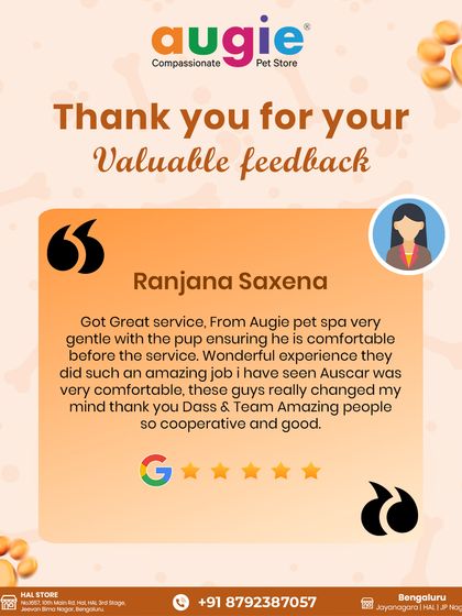 Augie Pets - Pet Grooming Services Words from Our Pawsome Community photo 9