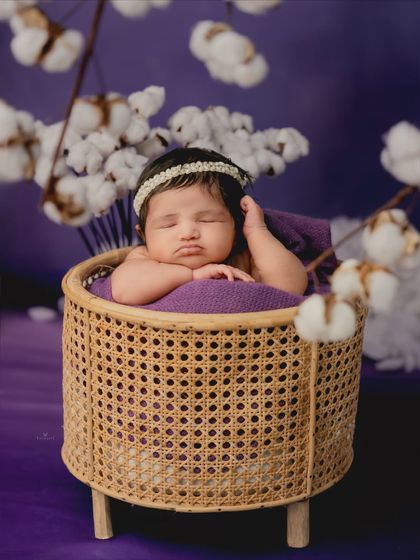 A unique and artistic newborn portrait. The baby sleeps peacefully in a modern rattan basket against a rich purple backdrop, with delicate cotton branches adding a soft, textural element.