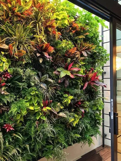 A close up view of a vibrant living wall, showcasing a rich mix of textures and colors. We use a variety of plant species, like crotons and ferns, to create a dynamic and visually interesting vertical garden installation.