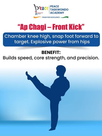 Learn the Art: Taekwondo for Beginners photo 8