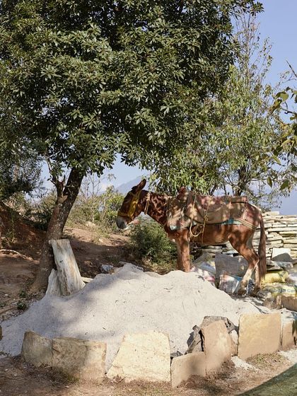 Himalayan Sanctuaries: Uttarakhand photo 65