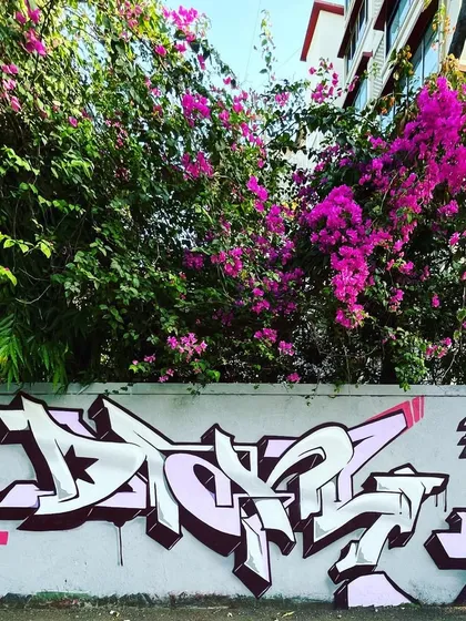 In search of a new flow. This piece combines a wildstyle "DKRYPT" with a small Devnagri tag, mixing my different styles on one wall.