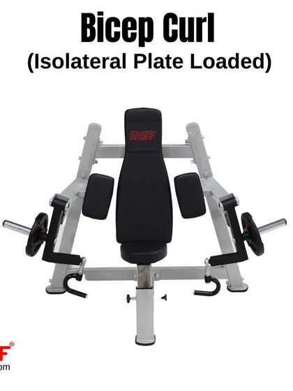 A front view of the Isolateral Bicep Curl machine, showing its symmetrical design and dual weight horns for balanced loading.