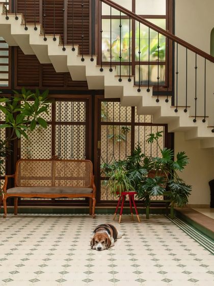 The multi-level courtyard is the heart of this home, with its vibrant patterned tiles and floating staircase. It’s a favorite spot for everyone, especially our furry client, Dorai.
