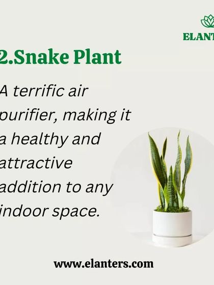 Plant Care Tips & Supplies photo 23