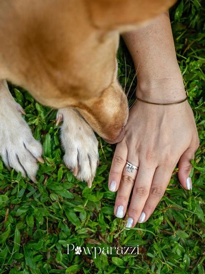 Pawparazzi By Prathima - Pet Milestone Photography The Unspoken Bond: Quiet Moments photo 3