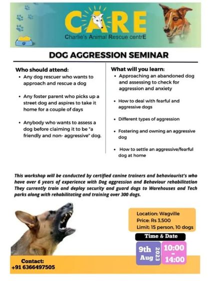 Wag-ville - Pet Wellness & Training Professional Courses & Staff Training photo 6