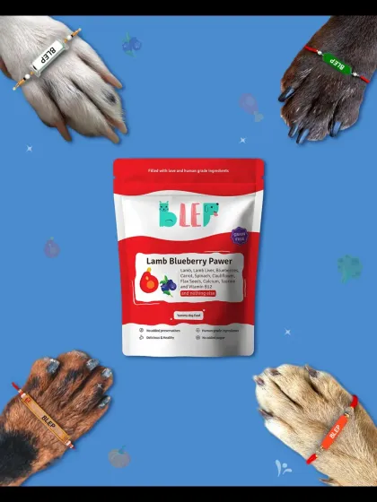 A bond for life, tied with love and a Blep rakhi. Celebrating our fur siblings forever.