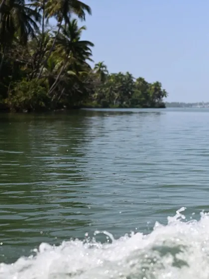 The gentle waves of the backwaters, captured from our moving boat.