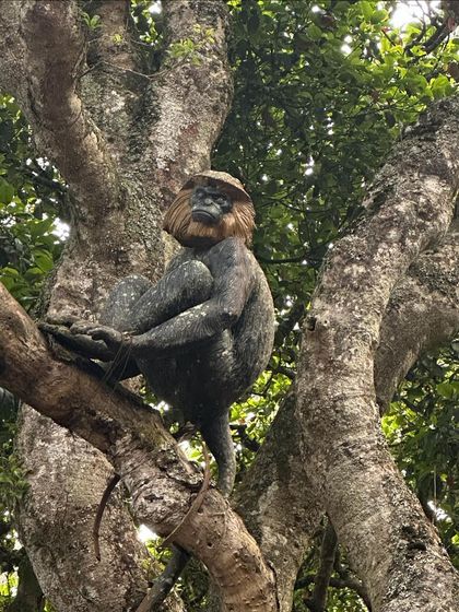 A candid moment from one of our recent trips. We believe that the best part of travel is the people you meet and the memories you create together. Join our tribe and let's make some new ones.