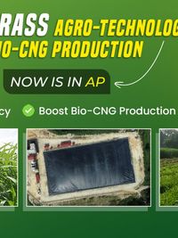 Turnkey Renewable Energy Project Setup (Bio-CNG & Solar)