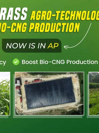 We are expanding our impact by bringing Napier Grass agro-technology to Andhra Pradesh. This graphic shows fields of Napier Grass and a covered slurry tank, highlighting how this technology boosts Bio-CNG production with 5-8x land efficiency.