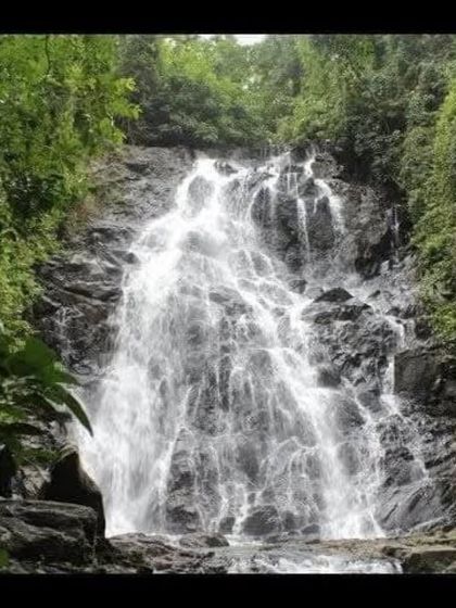 Shirley Falls, a beautiful and accessible waterfall we visit as part of our Yallapura exploration trip.