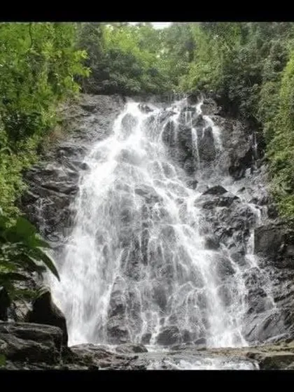 Shirley Falls, a beautiful and accessible waterfall we visit as part of our Yallapura exploration trip.