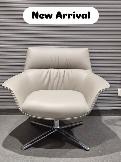 Lounge & Accent Chairs photo 24