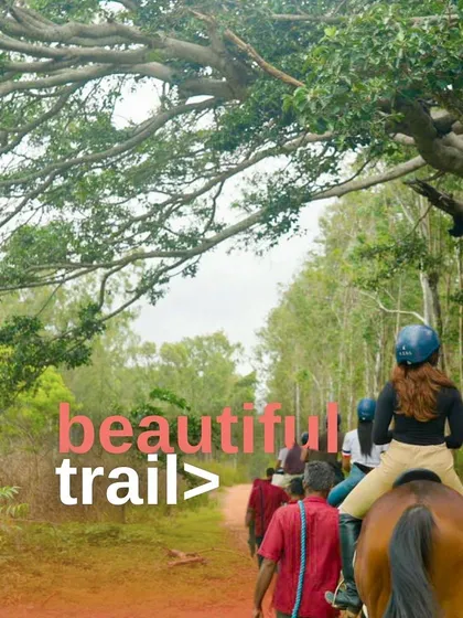 Adventure awaits outside the arena. Our campers enjoy scenic trail rides through the beautiful countryside, offering a chance to relax, bond with their horses, and experience the joy of riding in nature.