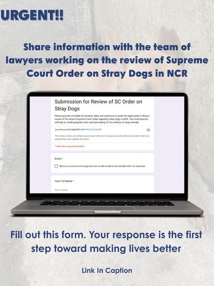 Your response is the first step toward saving lives. A team of lawyers is reviewing the Supreme Court order on stray dogs in NCR, and they need information from you. Please fill out the form to share your evidence.