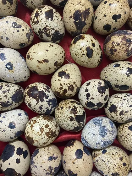 Quail eggs are a fantastic whole food supplement. These tiny eggs are nutritional powerhouses, packed with vitamins and minerals. I source them fresh to be used as a meal topper or a healthy treat.