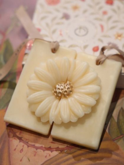 Scented Sanctuaries: Diffusers & Wax Tablets photo 5