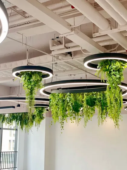 Circular lighting fixtures are transformed into hanging gardens in this creative office design. The cascading artificial plants add a sense of lushness and modernity to the industrial-style ceiling.