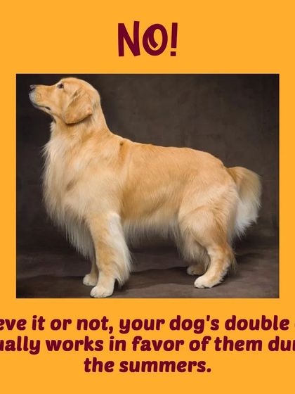 Tail It Easy - Mobile Pet Grooming Pet Parent Pro-Tips photo 18