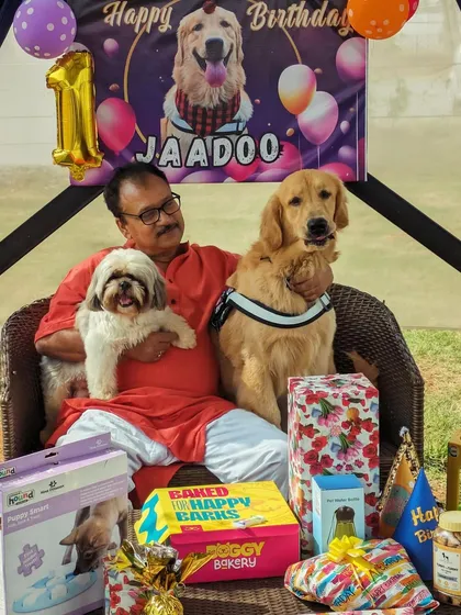 Celebrating Jaadoo's first birthday was a blast. We love hosting dog birthday parties and handle everything from the custom banner and decorations to the tasty, pet-safe cake.