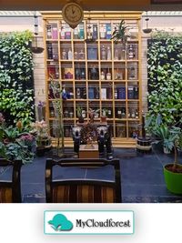 Vertical Gardens & Green Walls