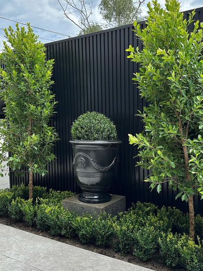 A modern take on formal design. We use a classic urn and topiary as a focal point against a contemporary black slatted wall, blending traditional shapes with modern materials.