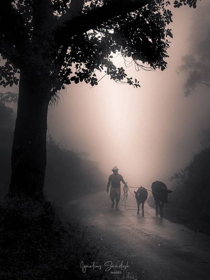 Bangalore Photographers - Find a Photographer People & Cultural Moments photo 10