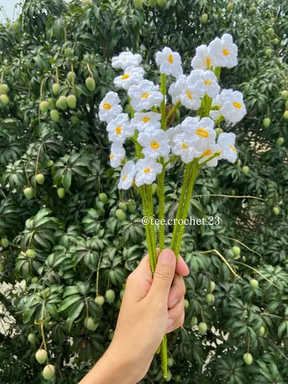 A delicate bouquet of white forget-me-not flowers.