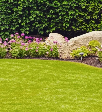 A close-up of a garden border, showing a healthy lawn meeting a mulched bed with flowers and a large boulder. This highlights our attention to detail in creating clean edges and natural transitions.