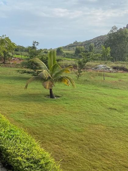 The rolling green lawns of our retreat, leading towards the rocky hills. We offer ample space for nature walks, outdoor yoga, or simply finding a quiet spot to sit and breathe.