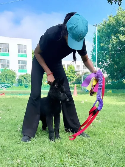 Simran introducing Yoko to different toys and textures. This builds confidence and a desire to engage, which is crucial for future training.