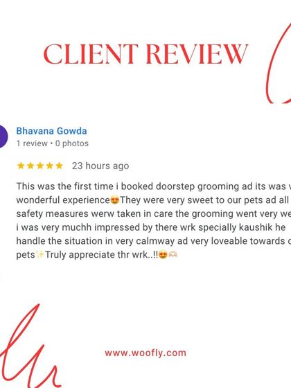 Woofly - At-Home Pet Grooming What Pet Parents Are Saying photo 9