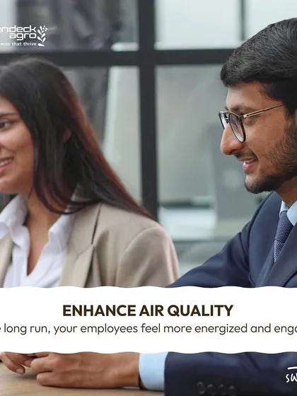 By enhancing air quality with plants, employees feel more energized and engaged. This is a core benefit I bring to every corporate client, fostering a healthier, more productive workforce.