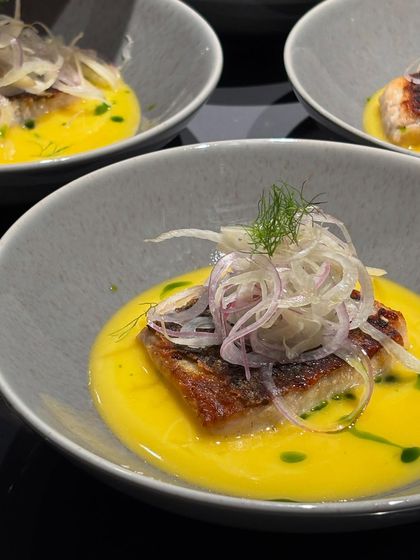 A beautifully plated Pan Roast Fish in a bright yellow sauce, topped with shaved fennel. This dish from the Praça Prazeres pop-up was a testament to thoughtful, rooted cooking.