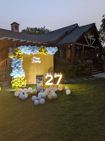 Outdoor & Backdrop Party Decorations photo 4