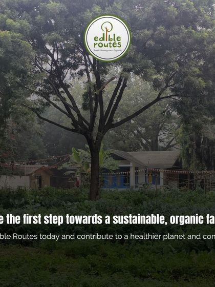 This is our mission in action: transforming land into a sustainable, organic farm. We guide you through every step, helping you grow fresh food while contributing to a healthier planet.