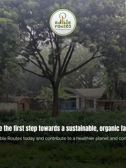 This is our mission in action: transforming land into a sustainable, organic farm. We guide you through every step, helping you grow fresh food while contributing to a healthier planet.