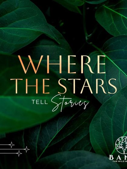 Bana Resorts - Corporate Team Outings Our Outing Packages photo 7