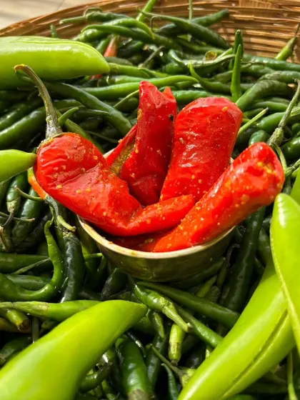 The star of our spicy collection, the red stuffed chilli pickle, sitting amongst fresh green chillies. This shows the journey from fresh vegetable to delicious achar.