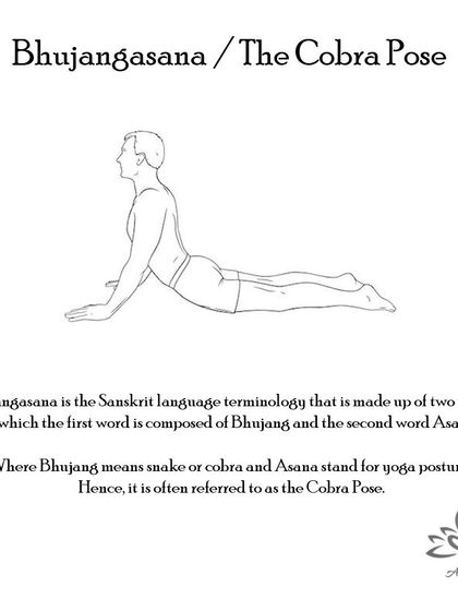 Anagha Yoga - Therapeutic Yoga Yoga Foundations: Asana Library photo 23