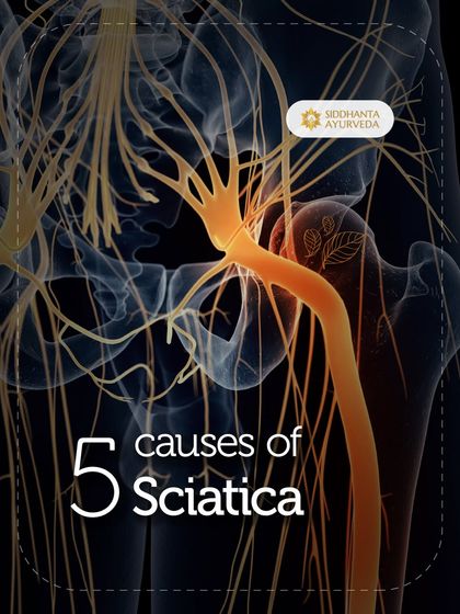 Siddhanta Ayurveda - Pain & Joint Care Understanding Joint & Spine Conditions photo 8