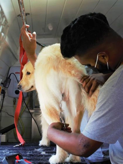 Tail It Easy - Mobile Pet Grooming The Full Grooming Experience photo 10