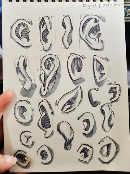 Another look at my ear sketches. I use shading to give them form and dimension.
