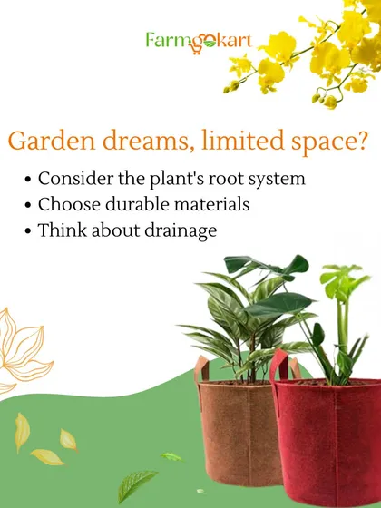 When you have limited space, choosing the right container is key. This graphic gives you a few things to consider, like the plant's root system and the need for good drainage, which my fabric grow bags are designed for.