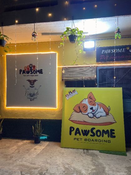 Our facility is designed to be your pet's happy place. The bright colors, fun art, and comfortable setup make it a welcoming environment.