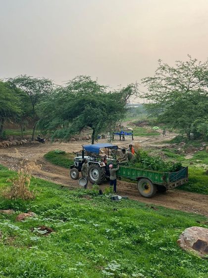 A tractor brings a fresh load of saplings to the Aravali Nagar Van restoration site, showcasing the scale of our planting operations.